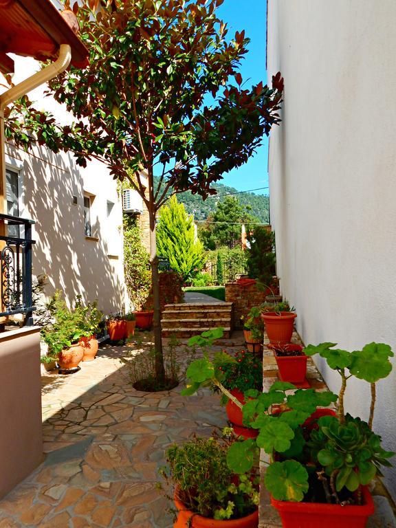 Panorama Apartments And Studios Chrisi Ammoudia Exterior foto