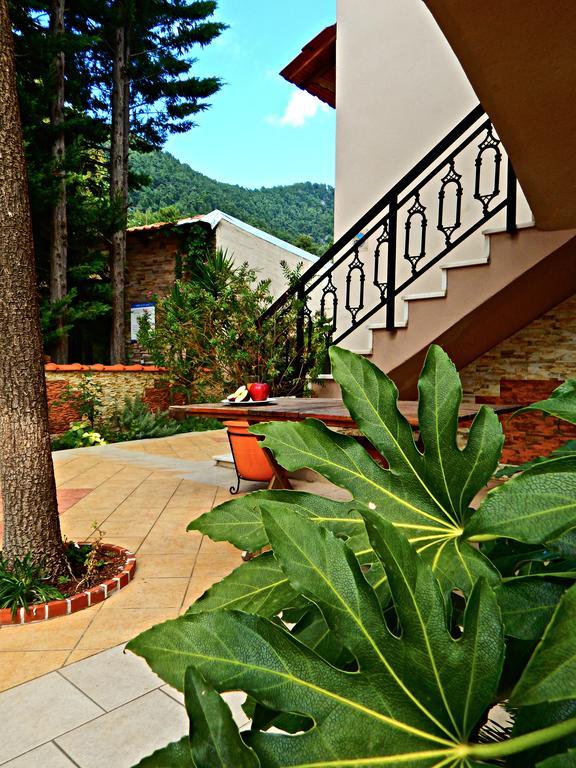 Panorama Apartments And Studios Chrisi Ammoudia Exterior foto
